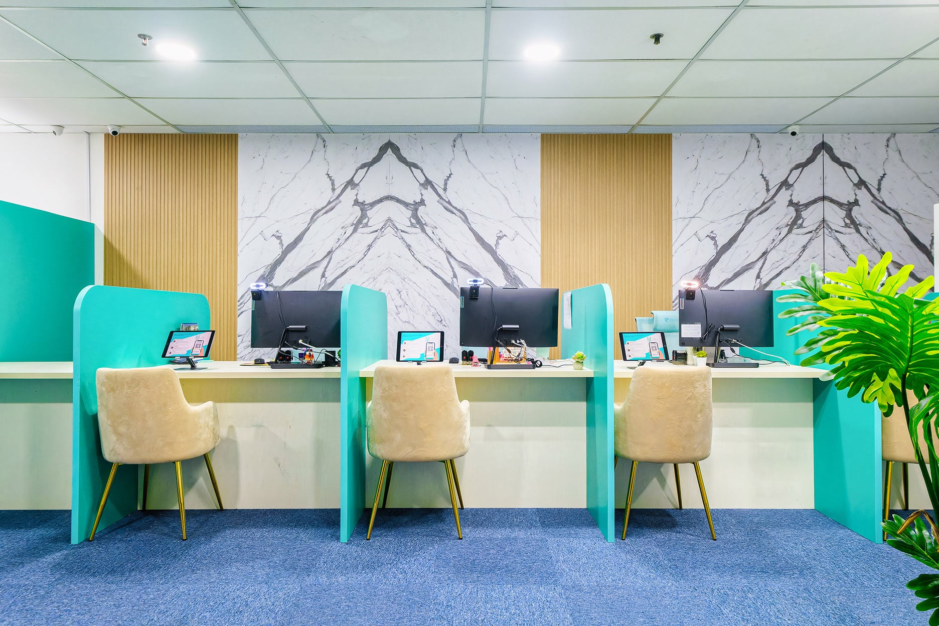 Office desks and chairs within 111 Credit's space